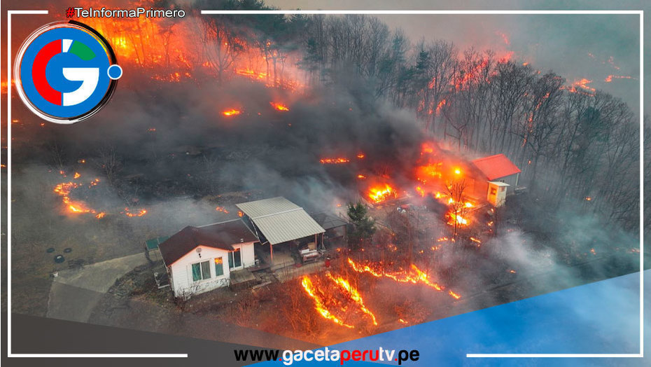Al menos 24 muertos por graves incendios forestales en Corea del Sur