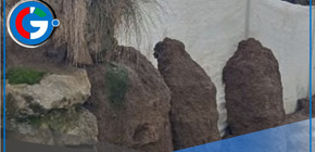 Lluvias en Pasco provocan desborde de ríos, deslizamientos y daños materiales