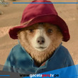 "Paddington en Perú": aventura familiar llega al streaming