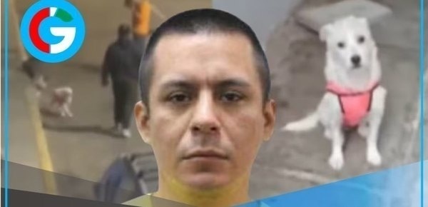  Mujer denuncia a exconviviente por maltrato físico y violencia animal 