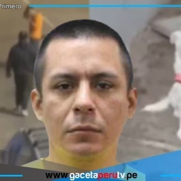  Mujer denuncia a exconviviente por maltrato físico y violencia animal 