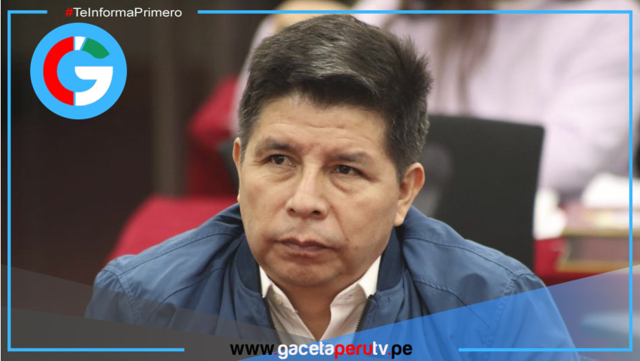 Pedro Castillo: Piden a Subcomisión de Acusaciones tramitar denuncia que plantea su inhabilitación