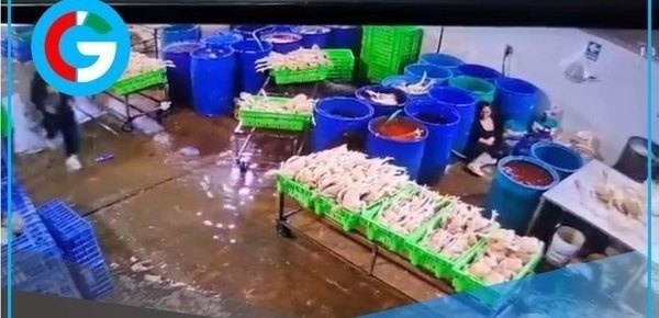 Delincuentes disfrazados de policías asesinan a empresaria avícola en Huaura 