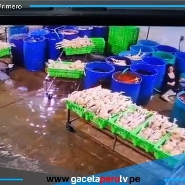 Delincuentes disfrazados de policías asesinan a empresaria avícola en Huaura 