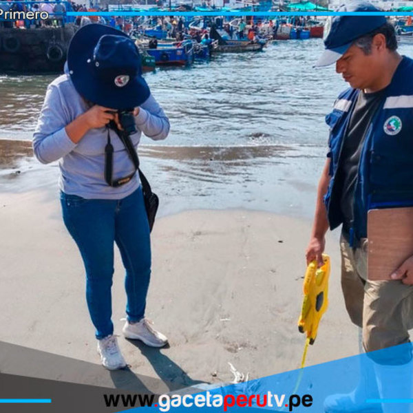 IMARPE monitorea pota inusual en playas del litoral limeño