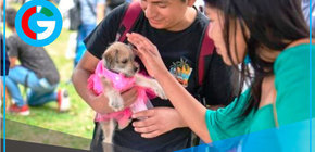 Patatón 2025 reunirá 10 toneladas de alimento para animales rescatados