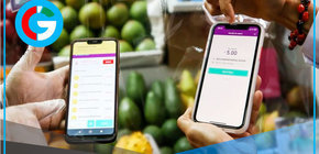 Gobierno aprueba sueldos vía billeteras digitales por acuerdo mutuo