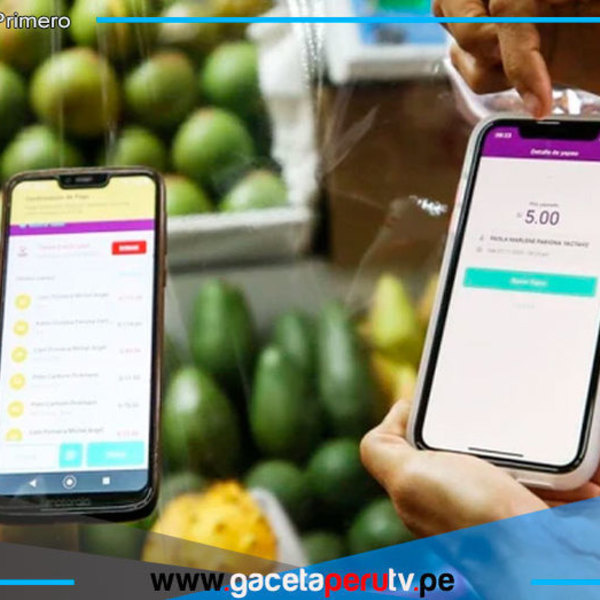 Gobierno aprueba sueldos vía billeteras digitales por acuerdo mutuo