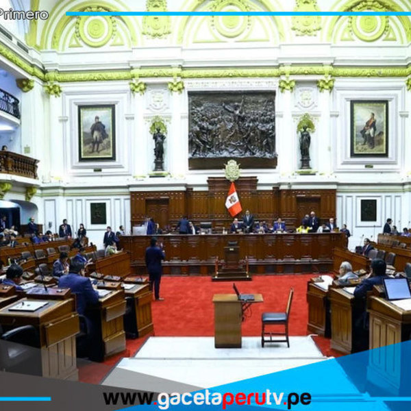 Congreso aprueba norma que exonera legisladores por infringir neutralidad electoral