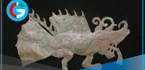 Más de 100 especies marinas se exhibirán en el Museo