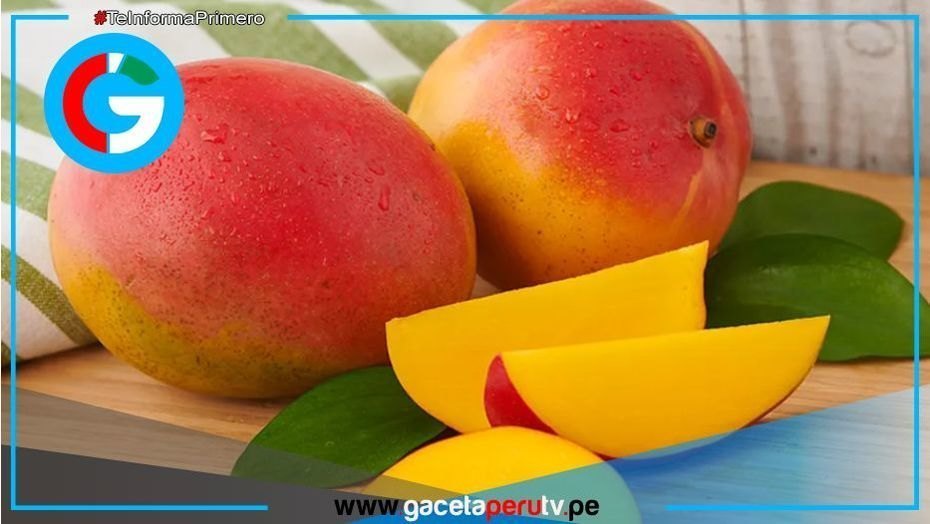 Comer dos mangos diarios reduce colesterol y presión arterial