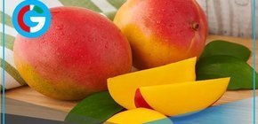 Comer dos mangos diarios reduce colesterol y presión arterial