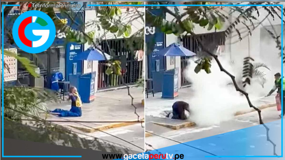 Mujer atacada por enjambre de 200 abejas denuncia falta de auxilio