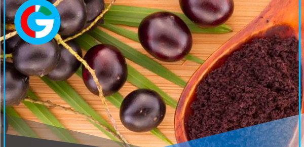 ¿Cómo se conoce al açaí en Perú y qué rasgos nutritivos tiene? 