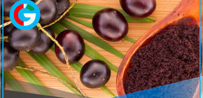 ¿Cómo se conoce al açaí en Perú y qué rasgos nutritivos tiene? 
