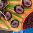 ¿Cómo se conoce al açaí en Perú y qué rasgos nutritivos tiene? 