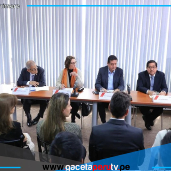 Minem adjudica cuatro proyectos eléctricos por US$ 214 millones a Alupar