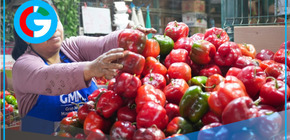 Perú celebra el Día de los Ajíes con más de 350 variedades