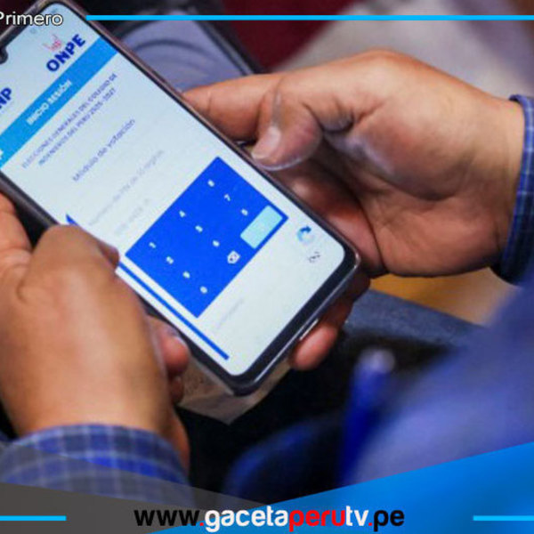 ¿Quiénes podrán hacer uso del voto digital? 