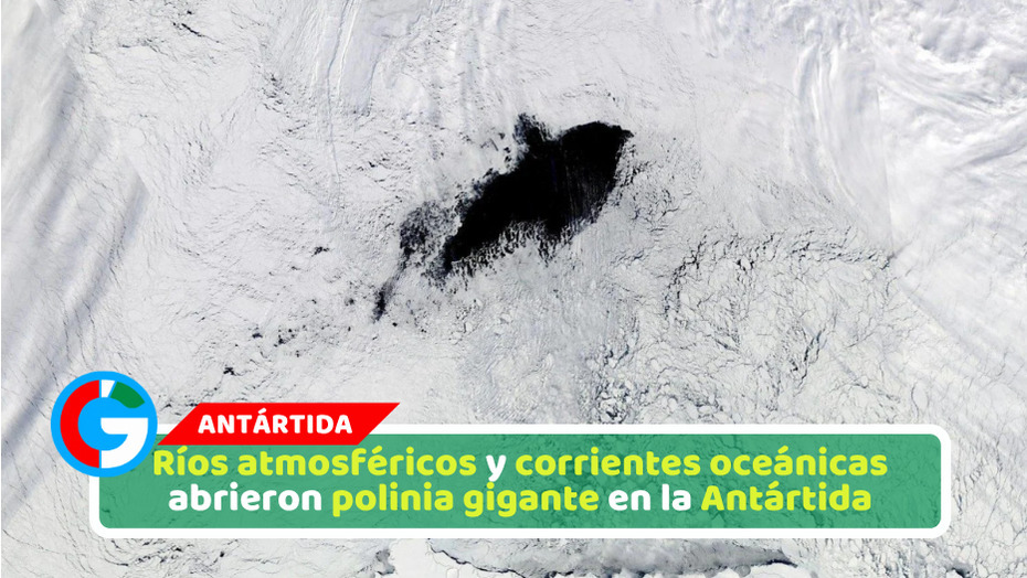 Ríos atmosféricos y corrientes oceánicas abrieron polinia gigante en la Antártida