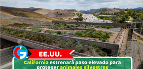 EE.UU.: California estrenará paso elevado para proteger animales silvestres