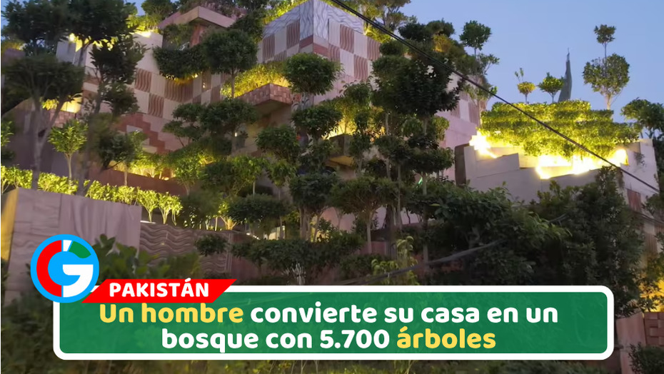Un hombre convierte su casa en un bosque con 5.700 árboles