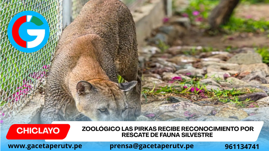 Zoológico Las Pirkas recibe reconocimiento por rescate de fauna silvestre