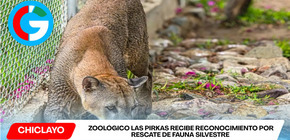 Zoológico Las Pirkas recibe reconocimiento por rescate de fauna silvestre