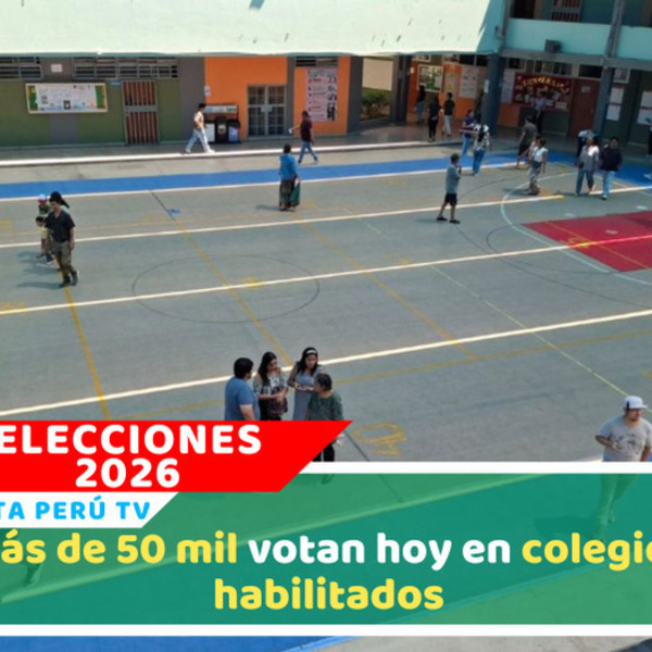 Más de 50 mil votan hoy en colegios habilitados