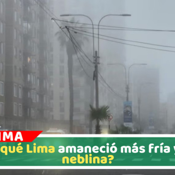 Vientos moderados generan frío y neblina en Lima