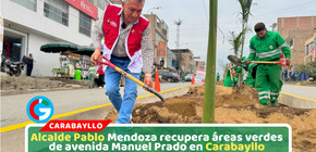 Alcalde Pablo Mendoza recupera áreas verdes de avenida Manuel Prado en Carabayllo