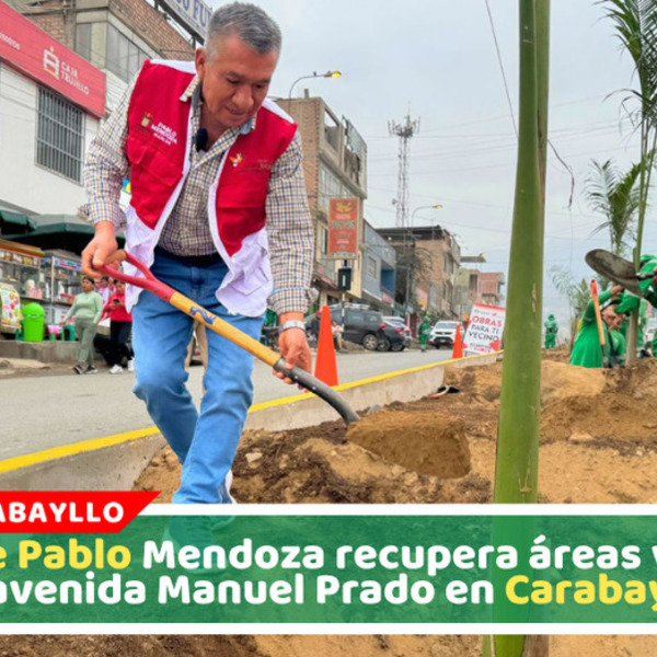 Alcalde Pablo Mendoza recupera áreas verdes de avenida Manuel Prado en Carabayllo