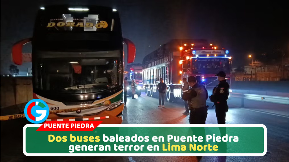 Sicarios atacan buses El Dorado y desatan pánico en pasajeros en Puente Piedra