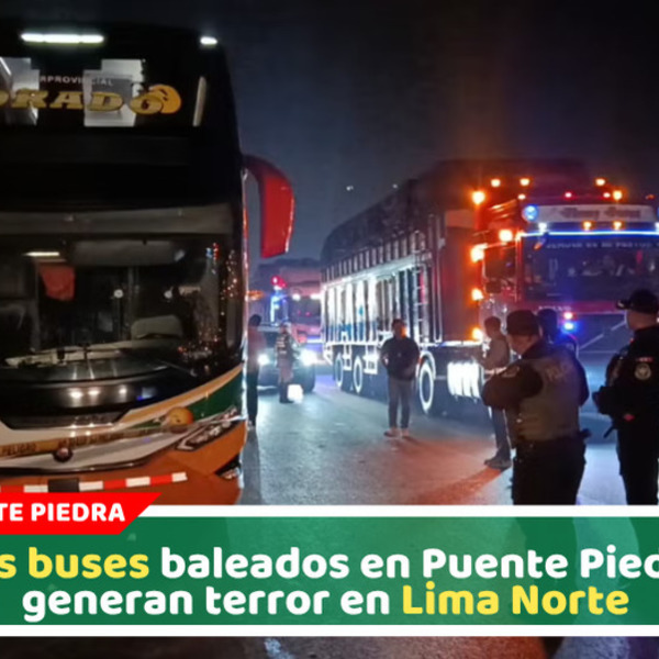 Sicarios atacan buses El Dorado y desatan pánico en pasajeros en Puente Piedra