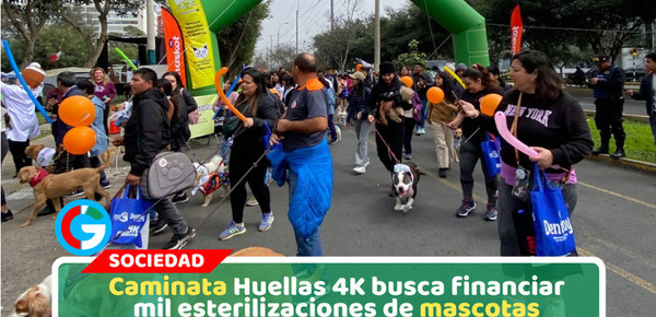 Una caminata para dar una segunda oportunidad: buscan financiar 1000 esterilizaciones de perros y gatos abandonados