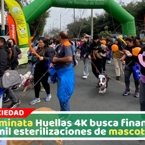 Una caminata para dar una segunda oportunidad: buscan financiar 1000 esterilizaciones de perros y gatos abandonados