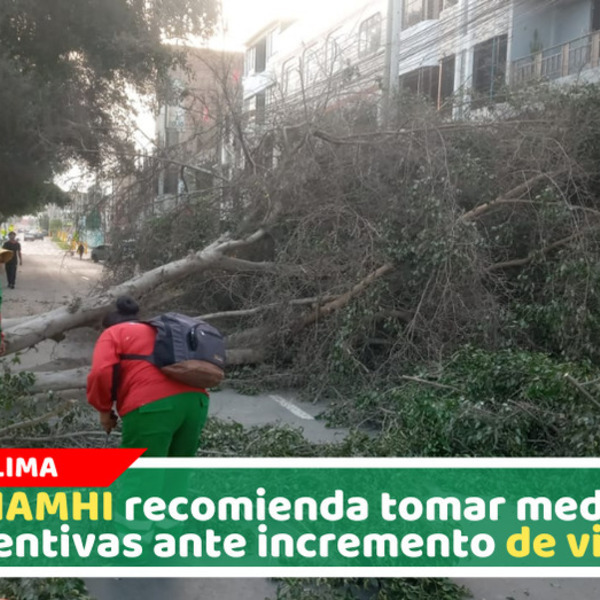 SENAMHI alerta que vientos fuertes continuarán hasta el domingo 02 de agosto