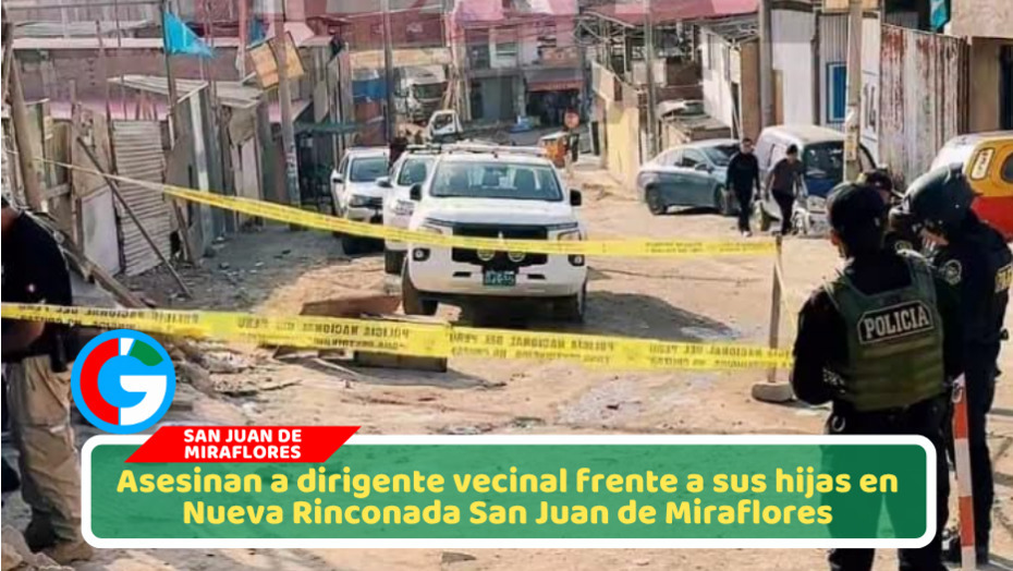 Matan a dirigente de olla común mientras protegía a sus hijas en San Juan de Miraflores