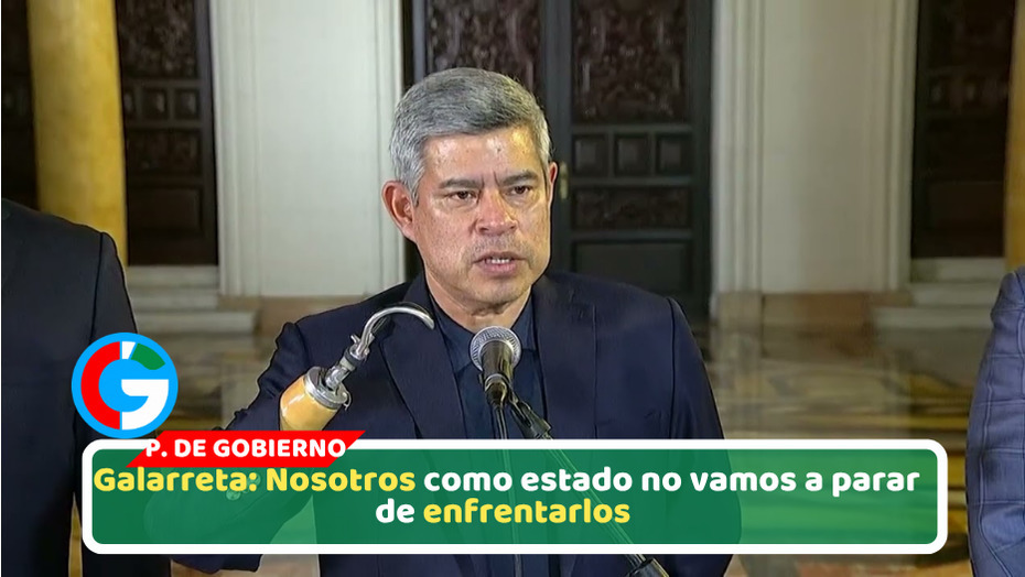 "Nosotros, como Estado, no vamos a parar de enfrentarlos"