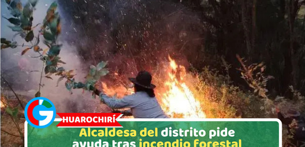 Huarochirí: Alcaldesa del distrito pide ayuda tras incendio forestal