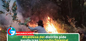 Huarochirí: Alcaldesa del distrito pide ayuda tras incendio forestal