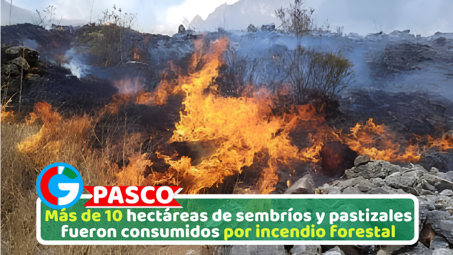 Más de 10 hectáreas de sembríos y pastizales fueron consumidos por incendio forestal