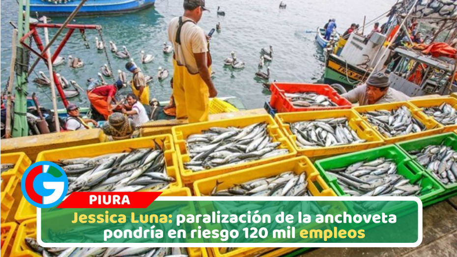 Jessica Luna: paralización de la anchoveta pondría en riesgo 120 mil empleos