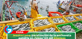 Jessica Luna: paralización de la anchoveta pondría en riesgo 120 mil empleos