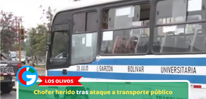 Los Olivos: Chofer herido tras ataque a transporte público