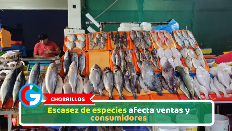 Chorrillos: Escasez de especies afecta ventas y consumidores