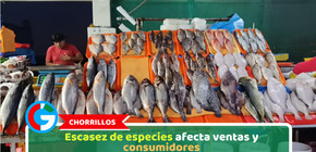 Chorrillos: Escasez de especies afecta ventas y consumidores