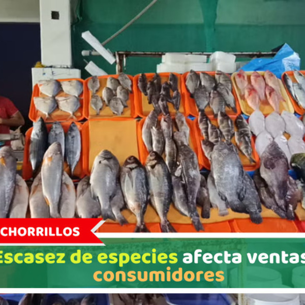 Chorrillos: Escasez de especies afecta ventas y consumidores